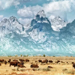 Grand Teton National Park