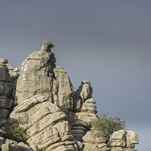 Bizarre limestone rock formations, El Torcal Nature Reserve, Antequera, Andalusia, Spain
