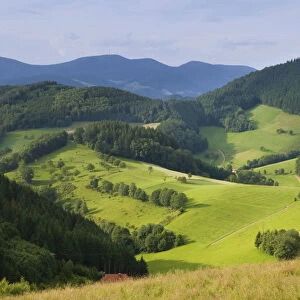 Black Forest landscape near Gutach, Black Forest, Baden-Wuerttemberg, Germany, Europe