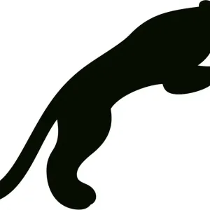 Black Panther Black Leopards Print Black Panther Black Leopards Print