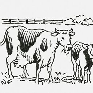 Black and white digital illustration of cow and calf, horse and foal, sheep and sheepdog in field