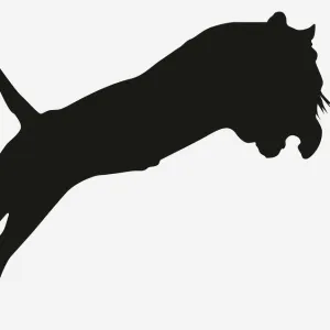 Black and white digital illustration of pouncing tiger silhouette