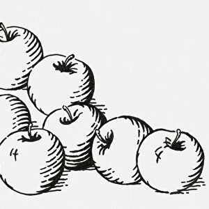 Black and white digital illustration of ripe apples