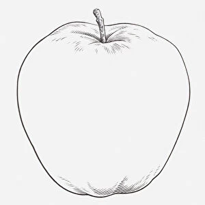 Black and white illustration of an apple