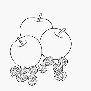 Black and white illustration of apples and blackberries