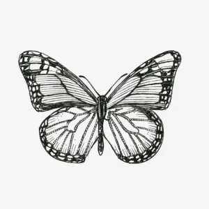 Black and White Butterfly Print