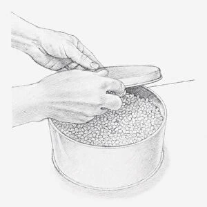 Black and white illustration of hand placing lid onto tin, containing flowers covered with silica gel crystals (drying flowers using desiccant)