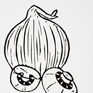 Black and white illustration of onion and mushrooms