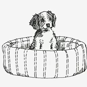 Black and white illustration of a puppy sitting up in a dog bed