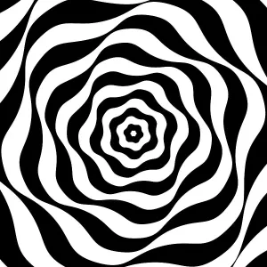 Black and White Optical Art Print Black and White Optical Art Print
