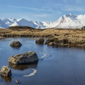 The Blackmount