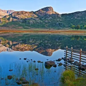 Blea Tarn, Cumbria Blea Tarn, Cumbria