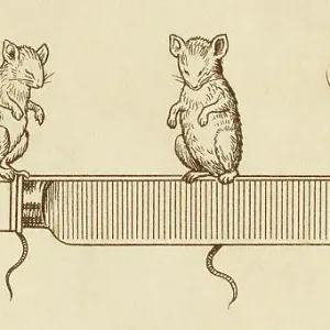 Three blind mice with a carving knife Three blind mice with a carving knife
