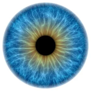Blue eye, artwork