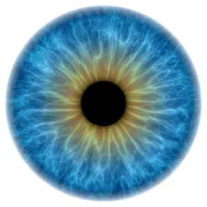Blue Eye Print - Computer Artwork of an Iris and Pupil Blue Eye Print - Computer Artwork of an Iris and Pupil