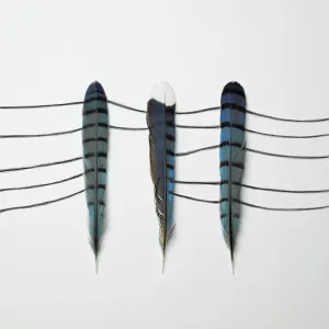 Three Blue Feathers Three Blue Feathers