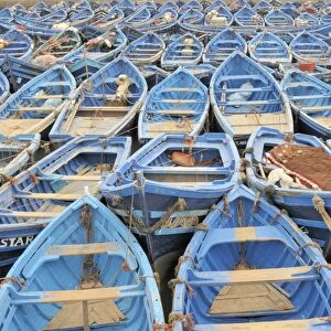 Blue fishing boats, Essaouria, Morocco, Africa