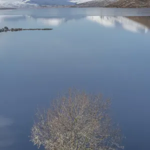 Blue loch