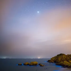 Blue Tears Bioluminescent algae Noctiluca Scintillans Blue Tears Bioluminescent algae Noctiluca Scintillans