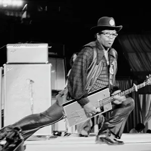 Bo Diddley: Rhythm & Riffs