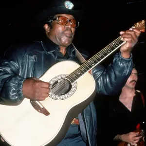 Bo Diddley in concert Bo Diddley in concert