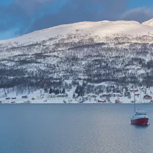 a boat in a bay in Tromso