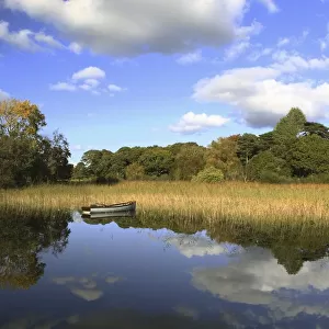 a boat sitting in the water along the tall grass in killarney national park in munster region
