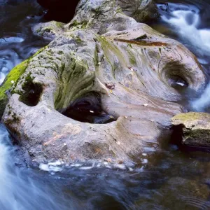 Vydra River Print Vydra River Print