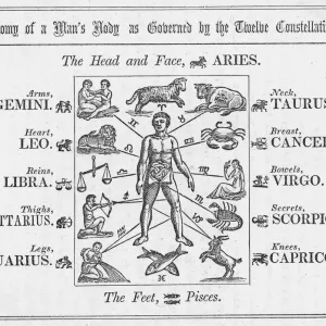 Body Parts and Corresponding Constellations Print Body Parts and Corresponding Constellations Print
