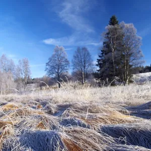 Images Dated 2005 November: 13 Nov 2005