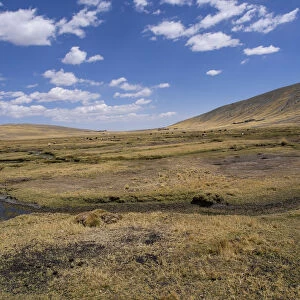 Bolivian plateau Altiplano, La Paz, Bolivia