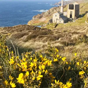 Botallack tin mines Botallack tin mines