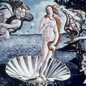 Botticelli's Birth of Venus Botticelli's Birth of Venus