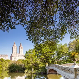 Bow bridge in spring, Central Park, New York, USA