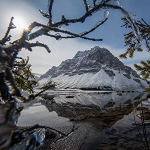 BOW LAKE with crowfoot mountain reflection