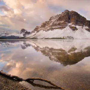 Bow Lake Ssunrise Bow Lake Ssunrise