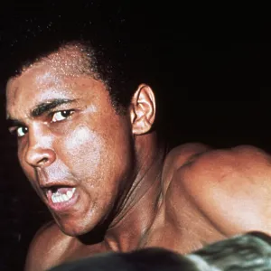Boxing Through the Ages: A Stunning Visual Journal: Boxer Muhammad Ali