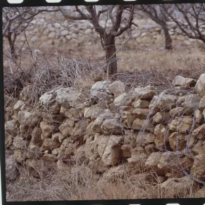 Images Dated 1982 December: 8 Dec 1982