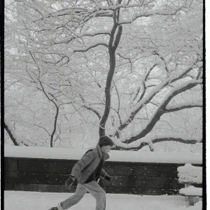 Images Dated 1988 January: 4 Jan 1988