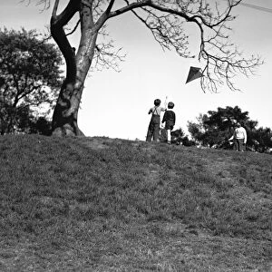 Two boys (10-11) flying kite on hill, (rear view), (B&W)