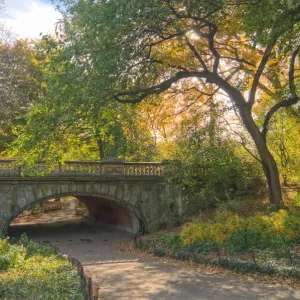 Autumn Central Park Bridge Print Autumn Central Park Bridge Print