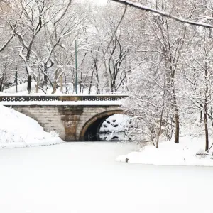 Bridge over lake in Central Park in winter, Manhattan, New York City, USA Bridge over lake in Central Park in winter, Manhattan, New York City, USA