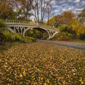 Bridge in New York Citys Central Park on a colorful autumn day