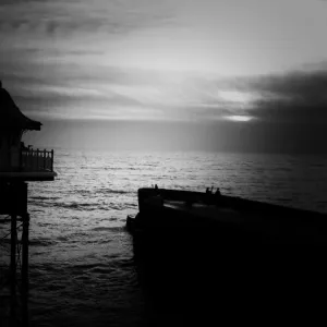 Brighton Brighton
