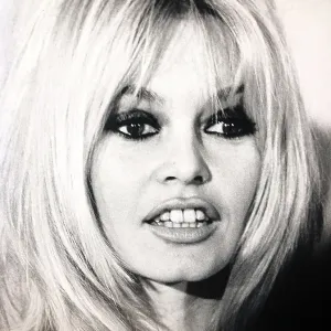 Brigitte Bardot Brigitte Bardot
