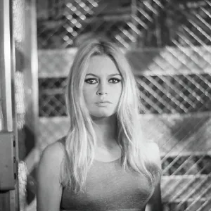 Brigitte Bardot Brigitte Bardot