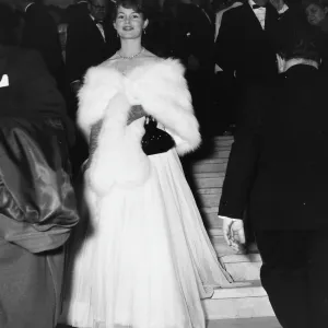 Brigitte Bardot Brigitte Bardot
