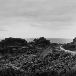 Brimham Rocks Brimham Rocks