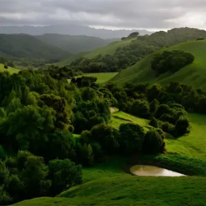 Briones Hills Briones Hills