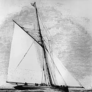 British Cutter Arrow Print, 1851 British Cutter Arrow Print, 1851